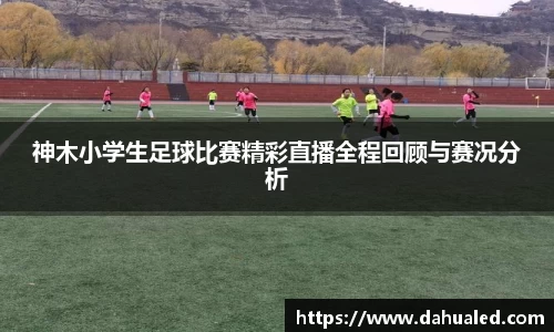 lewin乐玩最新地址